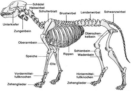 Lehrreich